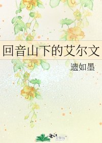 迴音山下的艾爾文